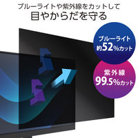 エレコム プライバシーフィルター のぞき見防止 21.5Wインチ (16:9) EFWPFX215W9 1枚（直送品）