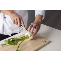 貝印 関孫六 要 切付4寸(120mm) AE5500 1個（直送品）