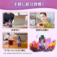 カゴメ 私のフルーツこれ1本 1日分の鉄分 330ml 1セット（24本）