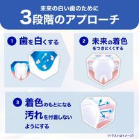 シュミテクト フューチャーホワイトケア マイルドミント 80g 〈1450ppm〉 Haleonジャパン 歯磨き粉