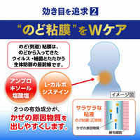 パブロンエースPro-X錠 18錠 大正製薬 風邪薬 つらいのどの痛み せき 鼻みず 発熱【指定第2類医薬品】