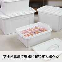 【収納ボックス】 ユメミグサ 取っ手付き収納ボックス ホワイト(白)22L PD-71-3 1個