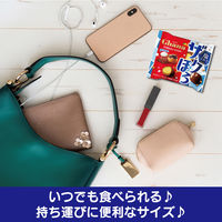 チョコレート菓子 ガーナ　ザクほろシュー＆クッキー　塩ミルク　ポップジョイ　26g 1セット（1個×6）