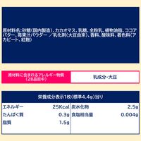 チョコレート菓子 紗々　芳醇いちご　69g 1セット（1個×12）