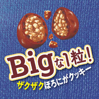 チョコレート菓子 クランキービッグパウチ　ザクザククッキー　72g 1セット（1個×12）