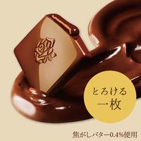 チョコレート菓子 プレミアムガーナ　濃厚生チョコレート　芳醇カカオ　12枚入 1セット（1個×6）