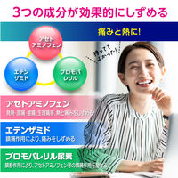 ナロン錠 24錠 大正製薬 頭痛 歯痛 生理痛 神経痛 発熱【指定第2類医薬品】