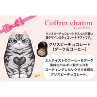 チョコレート菓子 カジュアルギフト ルイ　クリスピー ダーク＆コーヒー 50g 1セット（1個×6）