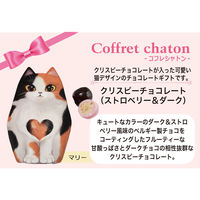 チョコレート菓子 カジュアルギフト マリー クリスピー ストロベリー＆ダーク 50g 1セット（1個×6）