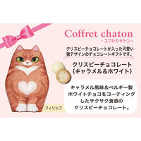 チョコレート菓子 カジュアルギフト フィリップ クリスピー キャラメル＆ホワイト 50g 1セット（1個×6）