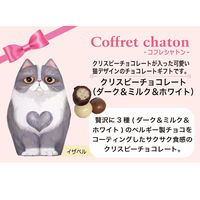 チョコレート菓子 カジュアルギフト イザベル クリスピー ダーク＆ミルク＆ホワイト 50g 1セット（1個×12）