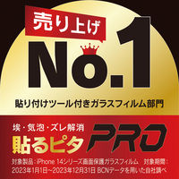 トリニティ iPhone 16 Pro 高透明 FG TR-IP24M3-G3-CCBK 1個