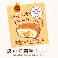 チョコレート菓子 カスタードケーキ　パーティーパック　9個入 1セット（1個×3）