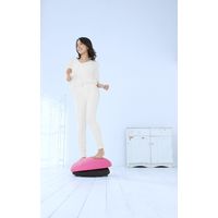 大東電機工業 <スライヴ>バランスボーイ ピンク a2502510 1個（直送品）