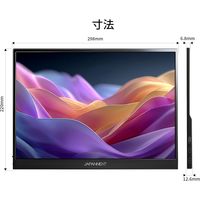 JAPANNEXT 13.5インチ モバイルディスプレイ JN-MD-IPS135FP 1台