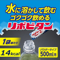大正製薬　リポビタンウォーター シャインマスカット風味　1セット（1箱（10包入）×3） 500ml用　パウダータイプ