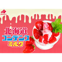 北海道コンデンスミルク 400g 1セット（1個×3） 練乳 　れん乳　北海道乳業　いちご かき氷 アイス イチゴ 苺