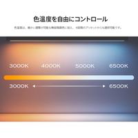 JAPANNEXT LEDモニターライト JN-ML-S400R 1個