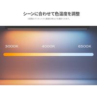 JAPANNEXT デュアルLEDモニターライト JN-ML-S400-BL 1個