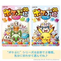 グミ 食べきりサイズ ポケぷに フルーツ 80g 1セット（1個×16）