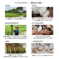 Sola Flower ソラフラワー サシェ ダリア 1個 三和トレーディング