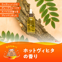 入浴剤 薬用 粉末 バスロマン ホットヴィヒタの香り 600g 発汗 1セット（1個×4） 湯色 色付き透明タイプ アース製薬