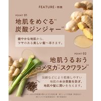 BOTANIST（ボタニスト）ルース シャンプーFI ストレート（10周年限定詰替10％増量タイプ） 440ml I-ne