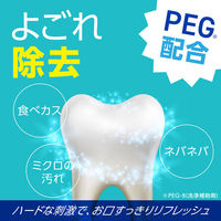 【アウトレット】【旧品】マウスウォッシュ 洗口液 口臭 モンダミン ストロングミント 1080mL 歯垢 汚れ 食後 タバコ ネバつき アース製薬