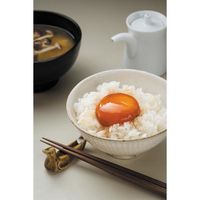 エムケー精工 小型精米機「RICELON」2合 SMー201K 1台