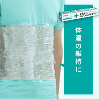 防災 クレラップ ミニ 22cm×50m 電子レンジ・冷凍可 1本 クレハ