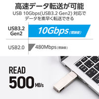 エレコム SSD 外付け 1TB 回転式 USBーC/A両対応 USB3.2(Gen2) ESD-EPA1000GSV 1個