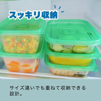 【アウトレット】食品保存容器 Sサイズ 400mL 電子レンジ可 1個（3個入）Kフレッシュストッカー K'sインターナショナルマネジメント
