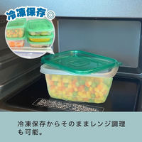 【アウトレット】食品保存容器 Mサイズ 750mL 電子レンジ可（2個入×5セット）Kフレッシュストッカー K'sインターナショナルマネジメント