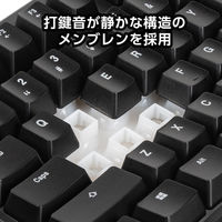センチュリー メンブレンゲーミングキーボードTKL ブラック CRC-GMBKRGB02 1個