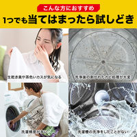 茂木和哉 洗濯槽クリーナー 塩素系粉末タイプ 300g 1個 レック