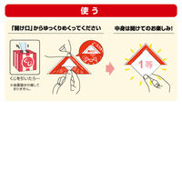 ヒサゴ イベントグッズ 自分で作れる三角めくりくじ 10枚入 PK401S 1ケース(1個)（直送品）