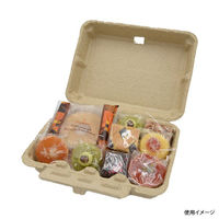 日本モウルド工業 弁当容器 パルボックス(大)茶 42032 1ケース(100個(1個×100))（直送品）