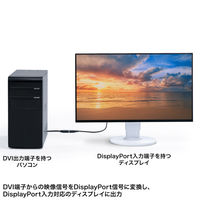 サンワサプライ  DVI-DisplayPort変換アダプタ（4K/30Hz） AD-DVDP01（直送品）