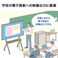 サンワサプライ  USB5Gbps Type-Cケーブル（PD75W・DP Altモード対応・5m） KU-5GCCP7550（直送品）