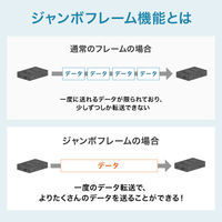 サンワサプライ  光メディアコンバータ（ギガビット対応・ブリッジ・マルチモード） LAN-EC212CB（直送品）