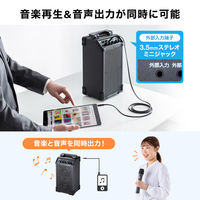サンワサプライ  ワイヤレスマイク付き拡声器スピーカー（最大40W） MM-SPAMP21（直送品）