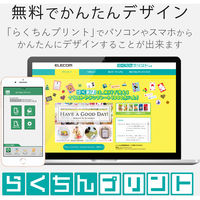 ハガキ 用紙 100枚入り スーパーファイン紙 厚手 【お探しNo:L57】 ホワイト EJH-WSFN100 エレコム 1個（直送品）