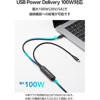 2in1 二股ケーブル (USB-C to USB-C×2) 転送 充電ケーブル 黒 MPA-CCCEC12BK エレコム 1個（直送品）