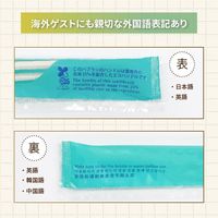 インスタントハブラシ バイオマス 1箱（500本）キャリン