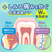 クルクリン PGガード 知覚過敏ケアプラスジェル 80g 歯周病 虫歯 口臭 高濃度フッ素配合 薬用ハミガキ サラヤ