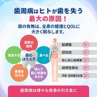 歯磨き粉 フッ素 クルクリン PGガード ペパーミント 90g 歯周病 虫歯 口臭 高濃度フッ素配合 薬用ハミガキ サラヤ