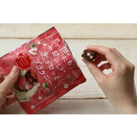 ブラウニー 世にもおいしいチョコっとブラウニー　イチゴ 1セット（1個×6）