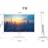 JAPANNEXT 21.5インチ 液晶モニター JNーV215F2ーW 1台