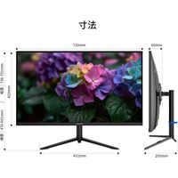 JAPANNEXT 31.5インチ ワイド 4K液晶モニター 高さ調整あり JNーV3152UHDRーHSPーG 1台