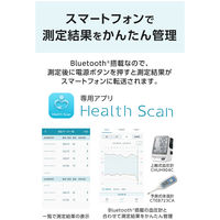 シチズン電子体温計 CTEB723CA 1本 シチズン・システムズ